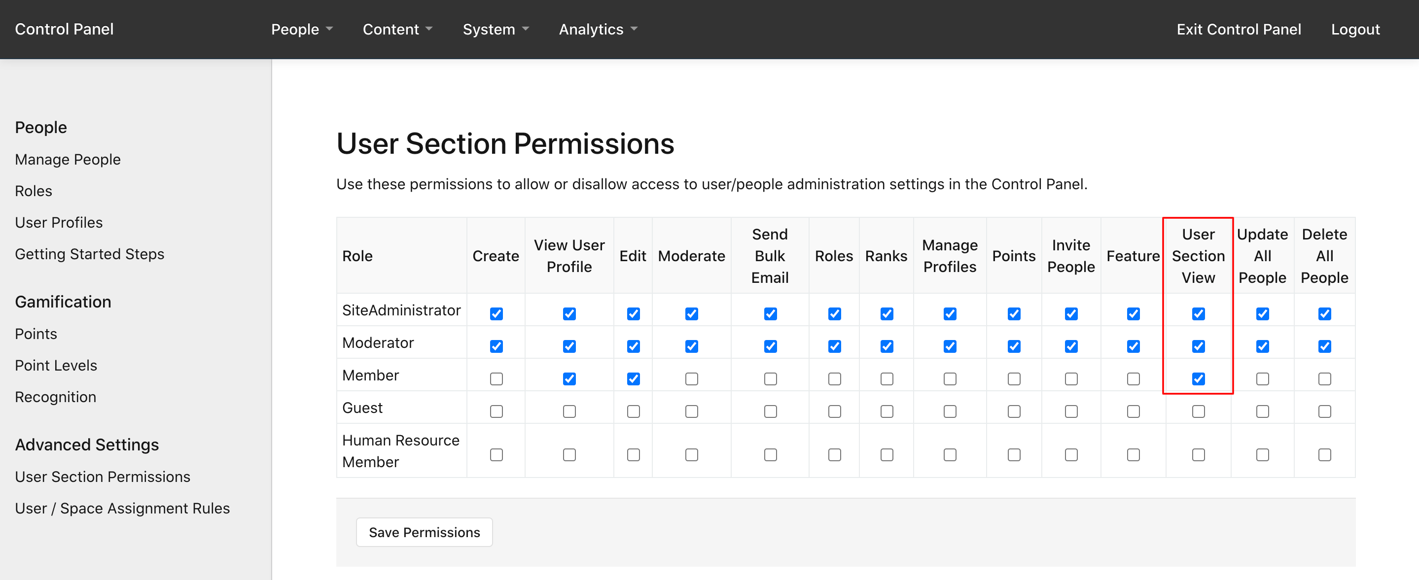 The User Section View permission